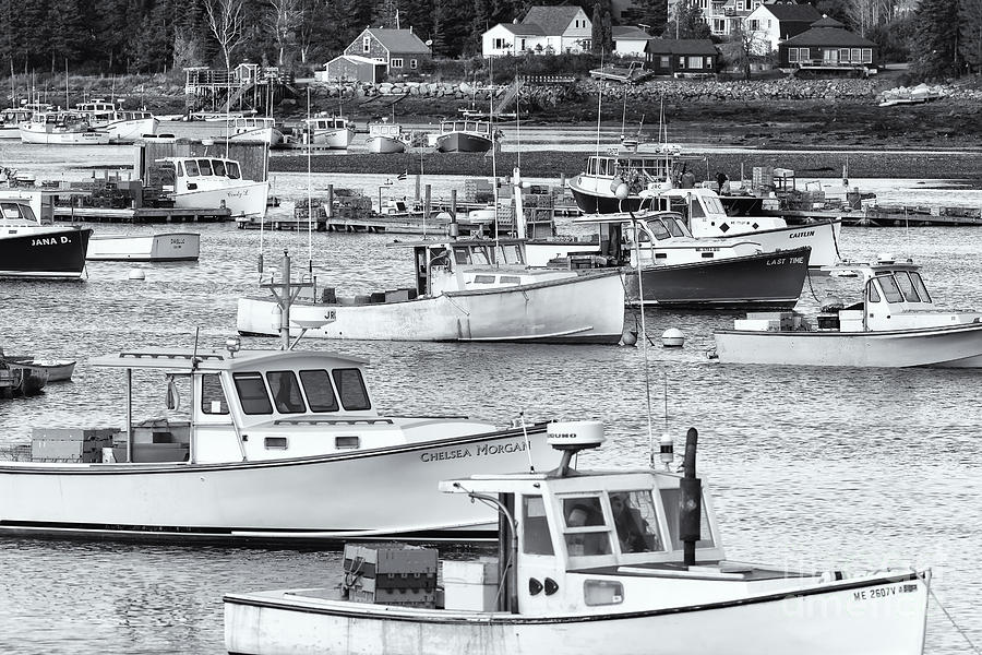 Lobster Boats in Bass Harbor II Photograph by Clarence Holmes