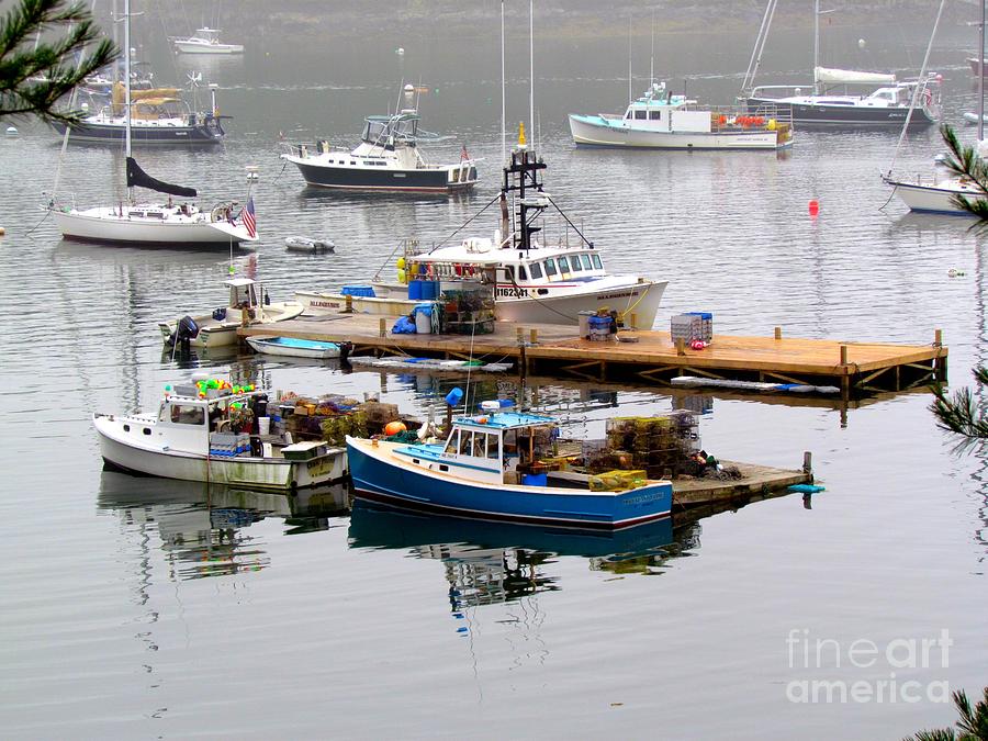 Lobster Boats in Northeast Harbor Photograph by Elizabeth Dow