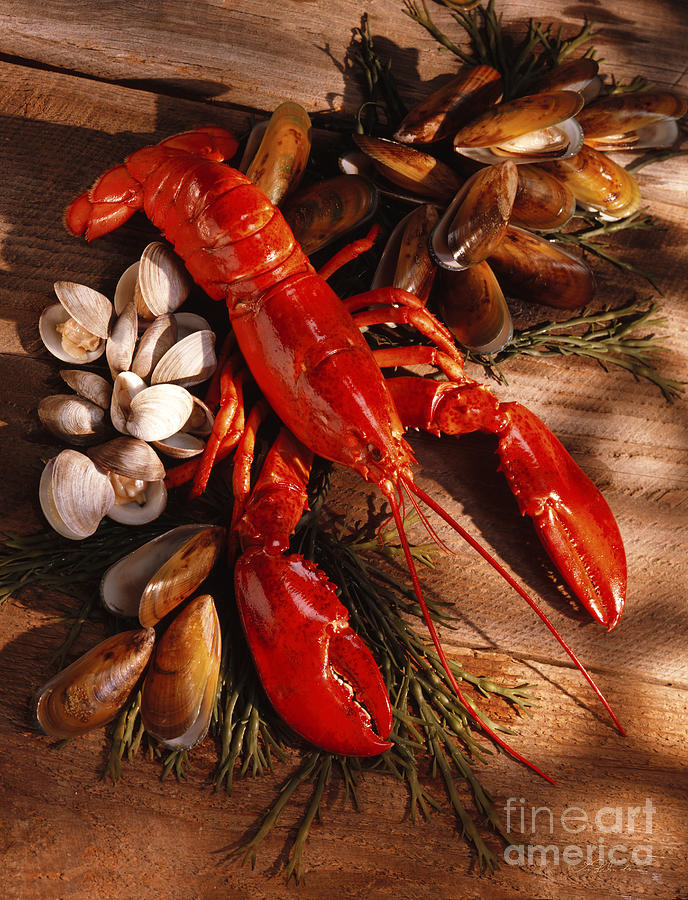 Food Photograph - Lobster Clams And Mussels On Seaweed by Iris Richardson Food Photograph - Lobster Clams And Mussels On Seaweed by Iris Richardson