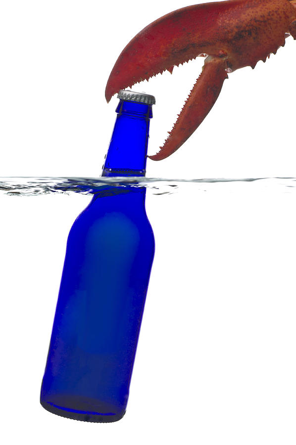 Lobster Claw Holding Beer Bottle Photograph by Ian Gwinn