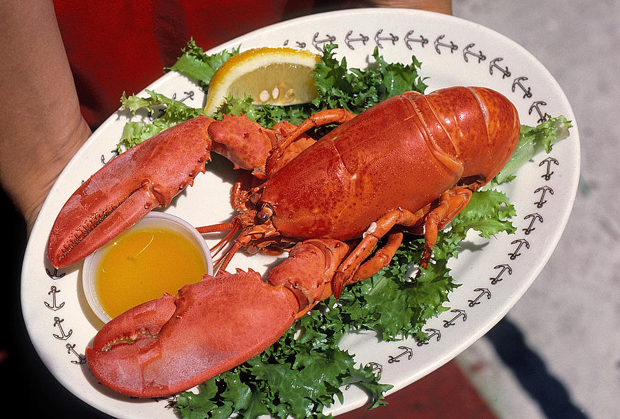 Lobster Dinner Photograph by Buddy Mays Fine Art America
