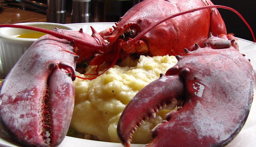 Lobster Dinner Photograph by Jennifer Wheatley Wolf