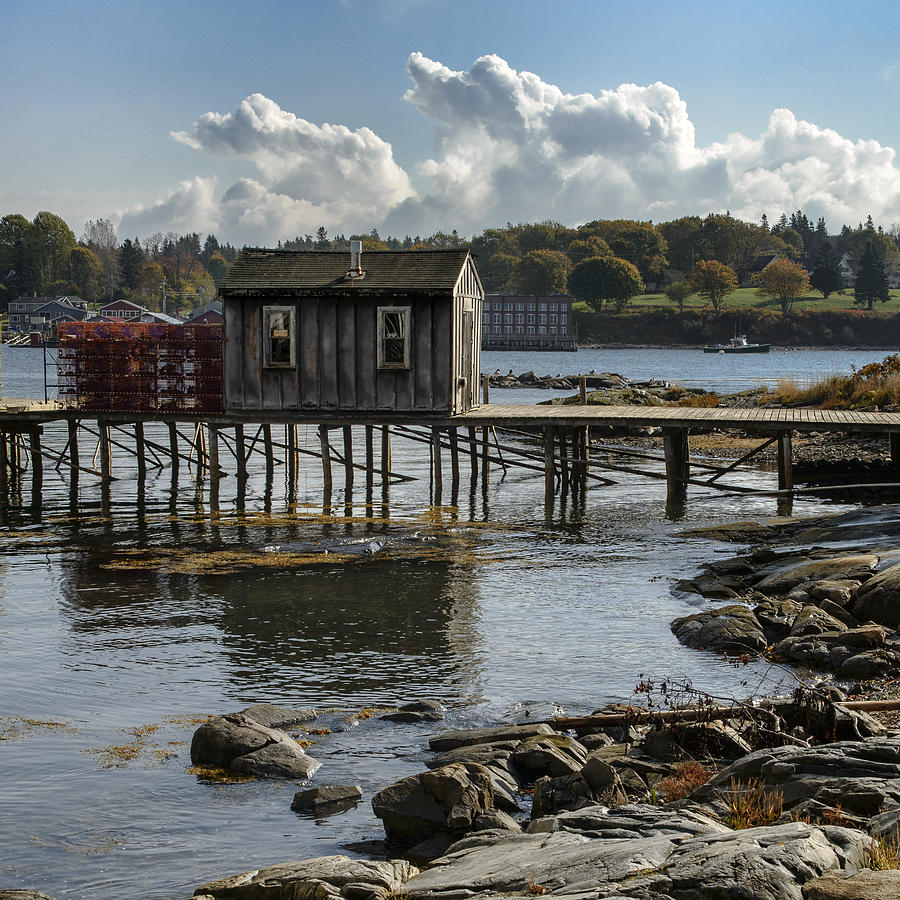 Lobster dock at Bass Harbor Maine Photograph by Dick Wood - Pixels