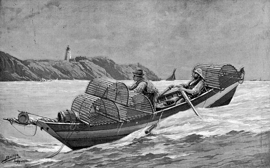 Lobster Fishing, 1894 Drawing by Granger