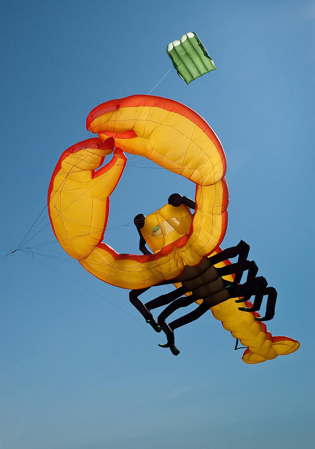 Lobster Kite Photograph by Rob Huntley