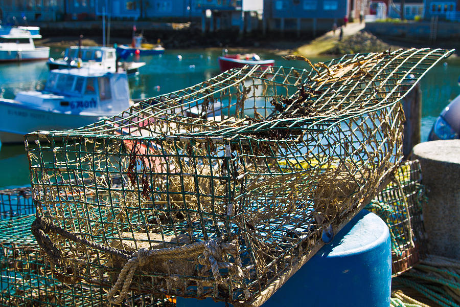 Lobster Net at the Harbor Photograph by John Hoey