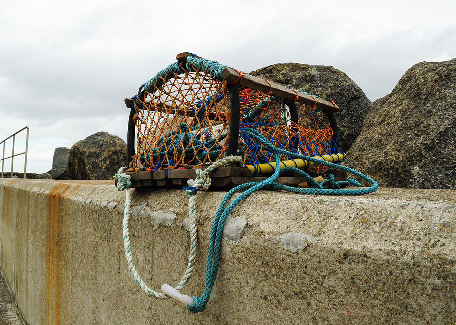 Fishing Photograph - Lobster Net by Eliza Donovan