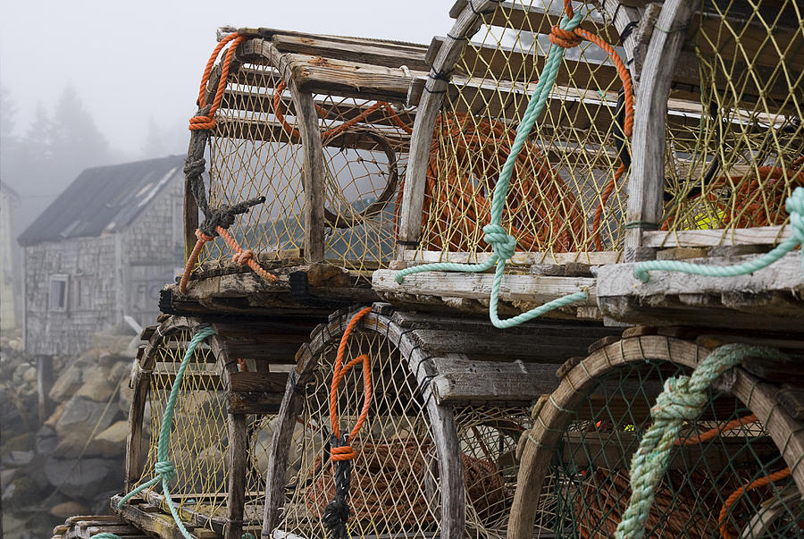 Lobster Nets Photograph by Sue Cullumber