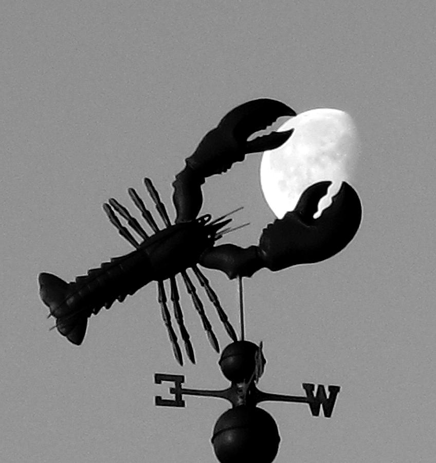Moon Photograph - Lobster Over The Moon by Donnie Freeman Moon Photograph - Lobster Over The Moon by Donnie Freeman