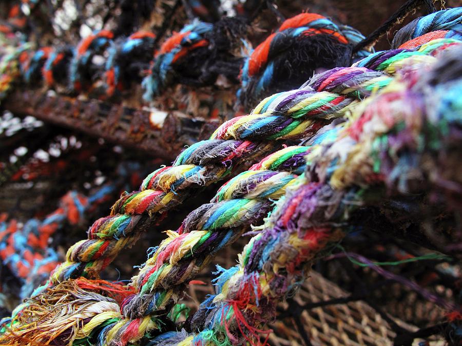 Lobster Pot Ropes Photograph by Cordelia Molloy/science Photo Library