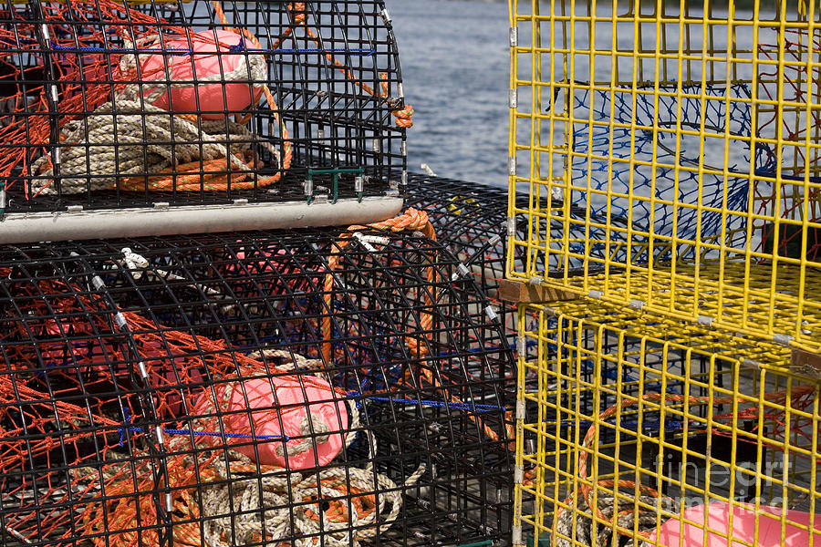 Lobster pots Photograph by Patricia Hofmeester