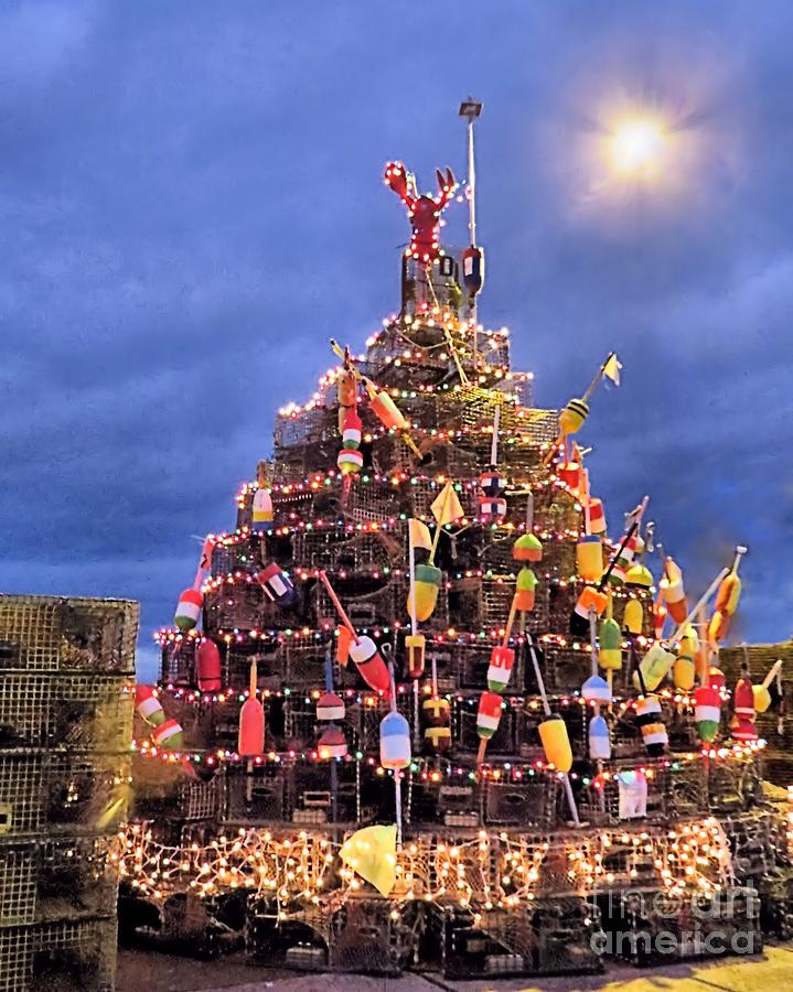 Christmas Photograph - Lobster Pots Tree at Night by Janice Drew