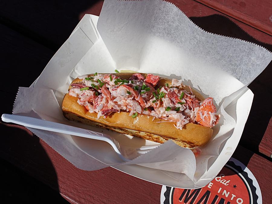 Lobster Roll Photograph by Jenny Hudson