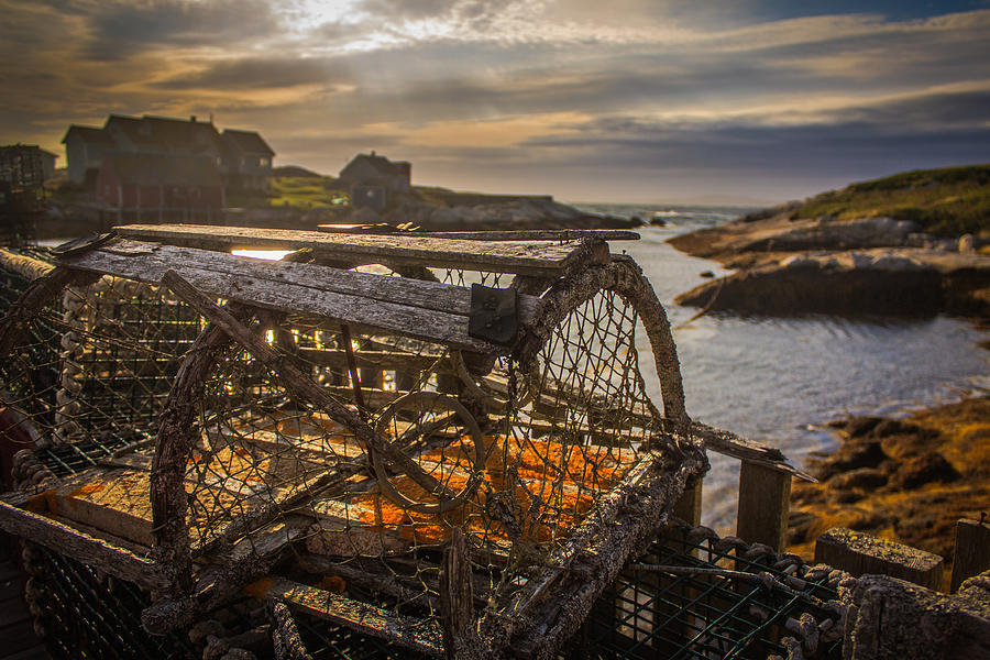 Lobster Trap At Peggys Cove Ns Photograph