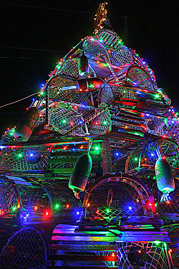 Lobster Trap Christmas Tree Photograph by Suzanne DeGeorge