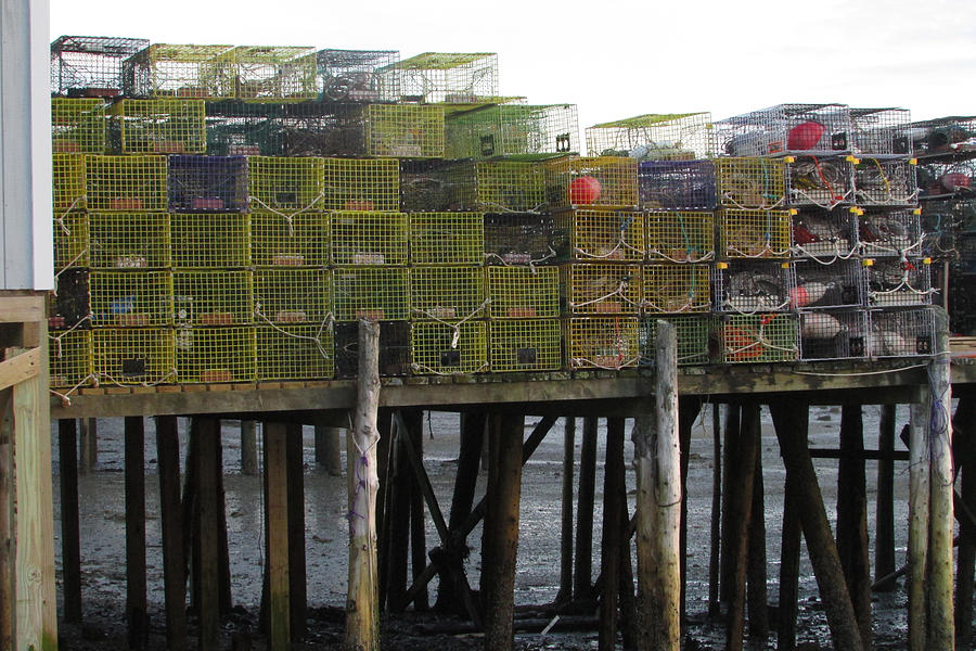Lobster Traps Bass Harbor Photograph by Steve Breslow