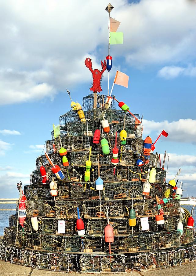 Lobster Traps Christmas Tree Photograph by Janice Drew