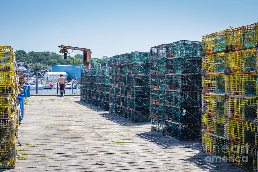 Lobster traps Photograph by George DeLisle