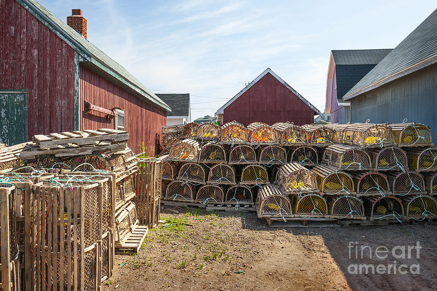 Lobster Traps Photograph - Lobster Traps In North Rustico by Elena Elisseeva Lobster Traps Photograph - Lobster Traps In North Rustico by Elena Elisseeva