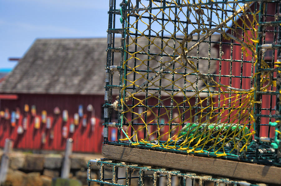 Lobster Traps in Rockport Photograph by Joann Vitali