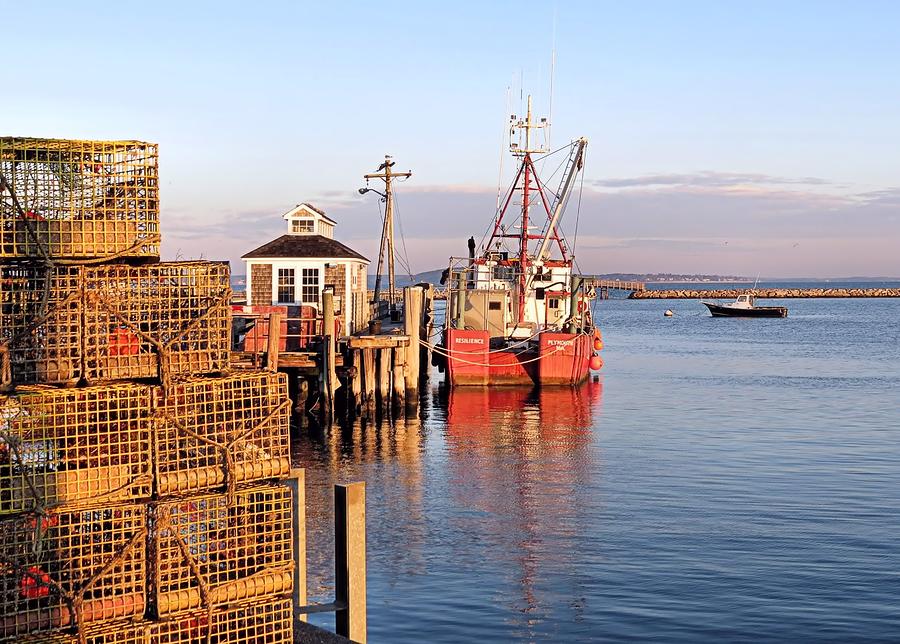 Lobster Traps Photograph by Janice Drew
