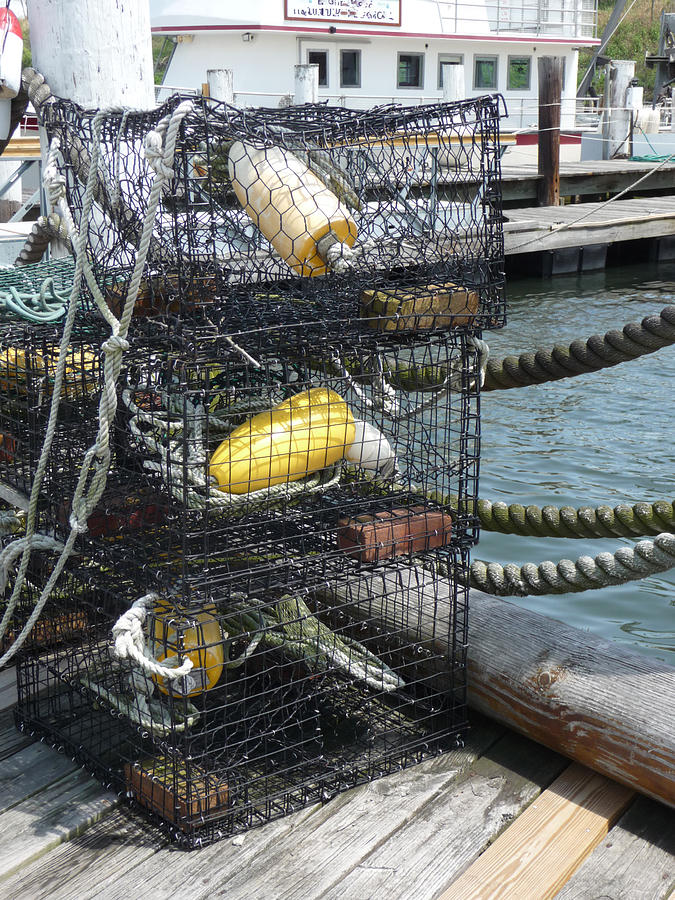 Lobster Traps Photograph by Margie Avellino