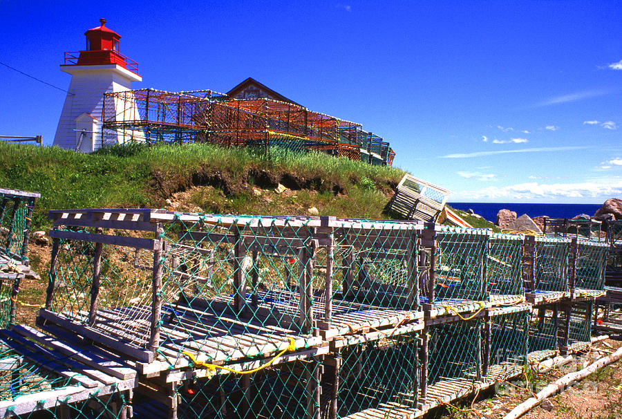 Lobster Traps Neils Harbour Lightstation Photograph by Thomas R Fletcher