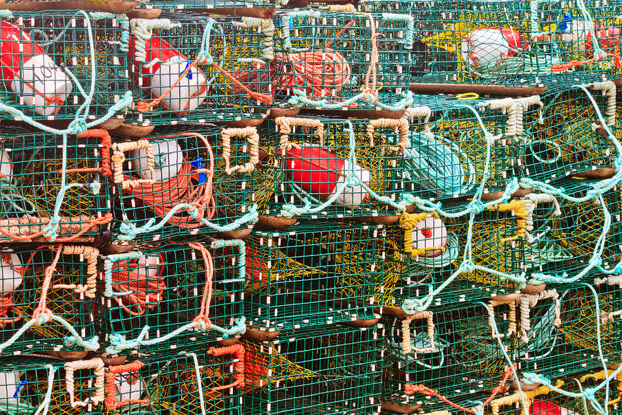 Lobster Traps NS Photograph by Ben Graham