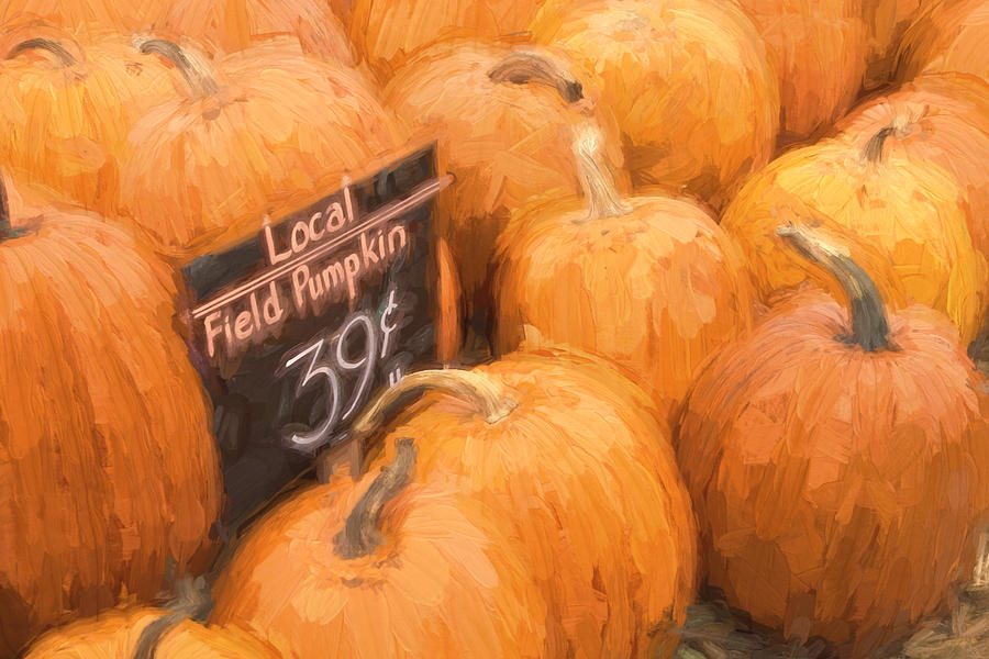 Local Field Pumpkins Painterly Effect Photograph by Carol Leigh