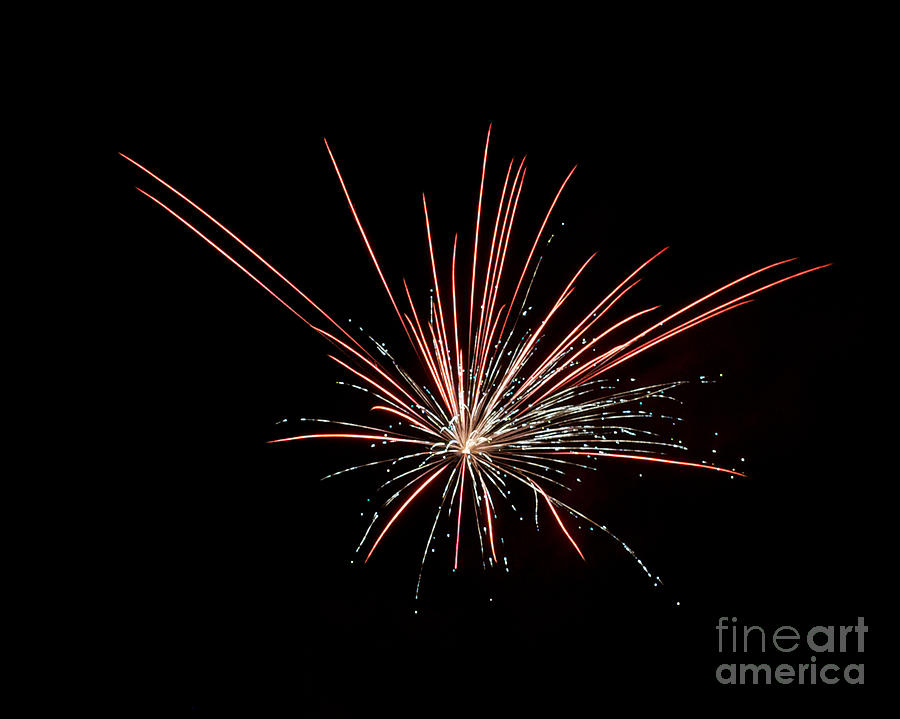 Local Fireworks Photograph by Mark Dodd