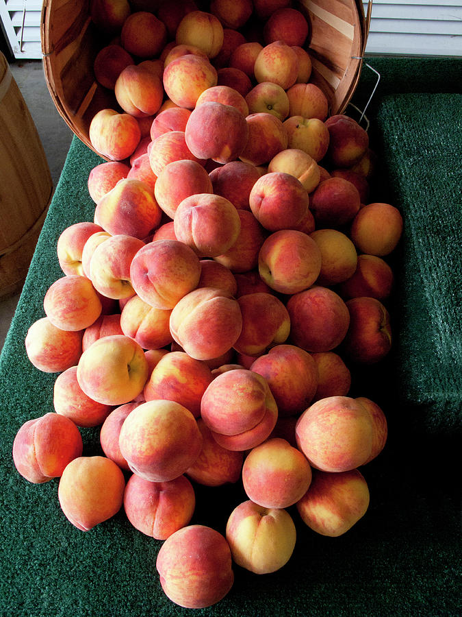 Locally Grown Peaches At Farmstand Photograph by Bill Boch