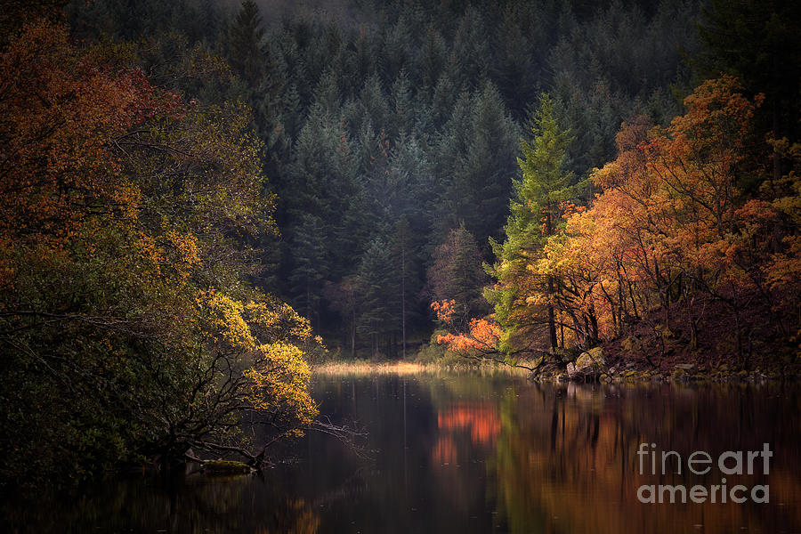 Loch Ard Photograph - Loch Ard in the Fall by John Farnan