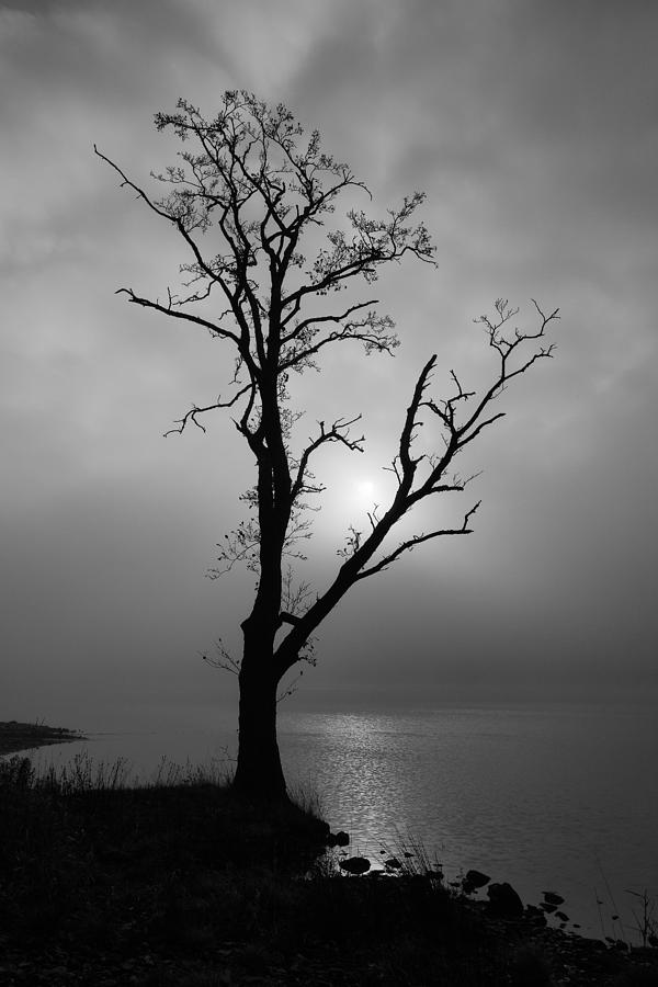 Loch Ard Mist Photograph by Grant Glendinning