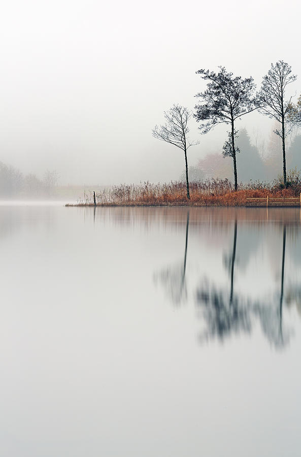 Loch Ard Reflections Photograph by Grant Glendinning