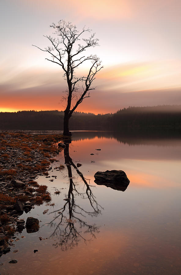 Loch Ard Sunrise Photograph by Grant Glendinning