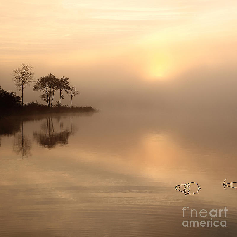 Loch Ard Sunrise Photograph by Maria Gaellman