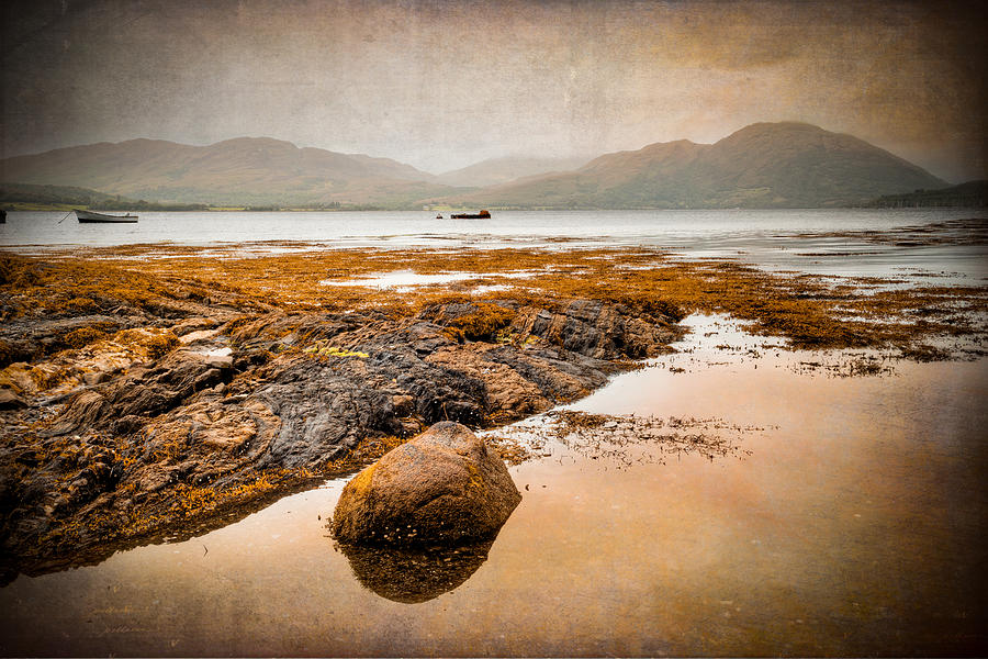 Loch Creran Coastline Photograph by Ray Devlin
