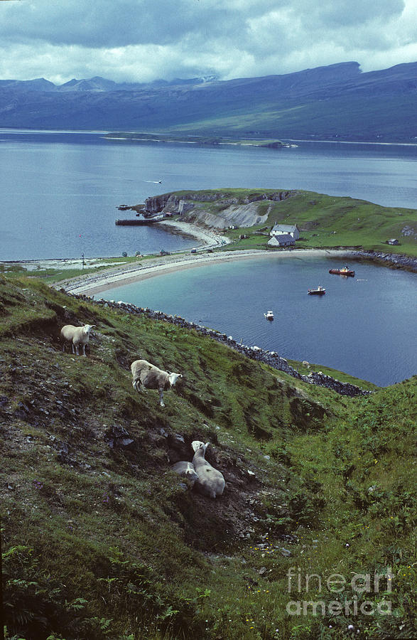A Quiet Corner of Loch Eriboll  Photograph by Phil Banks