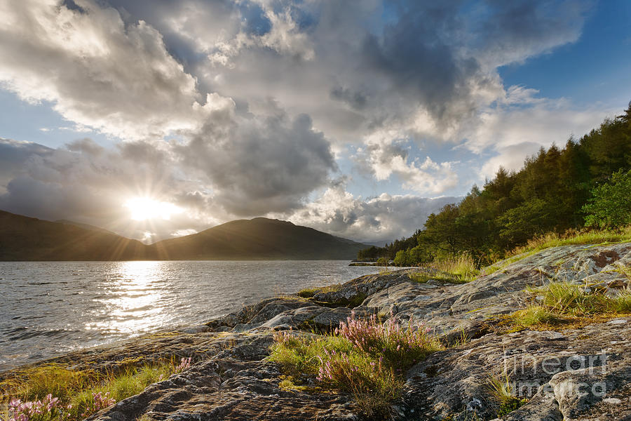 Summer Photograph - Loch Lomond by Rod McLean