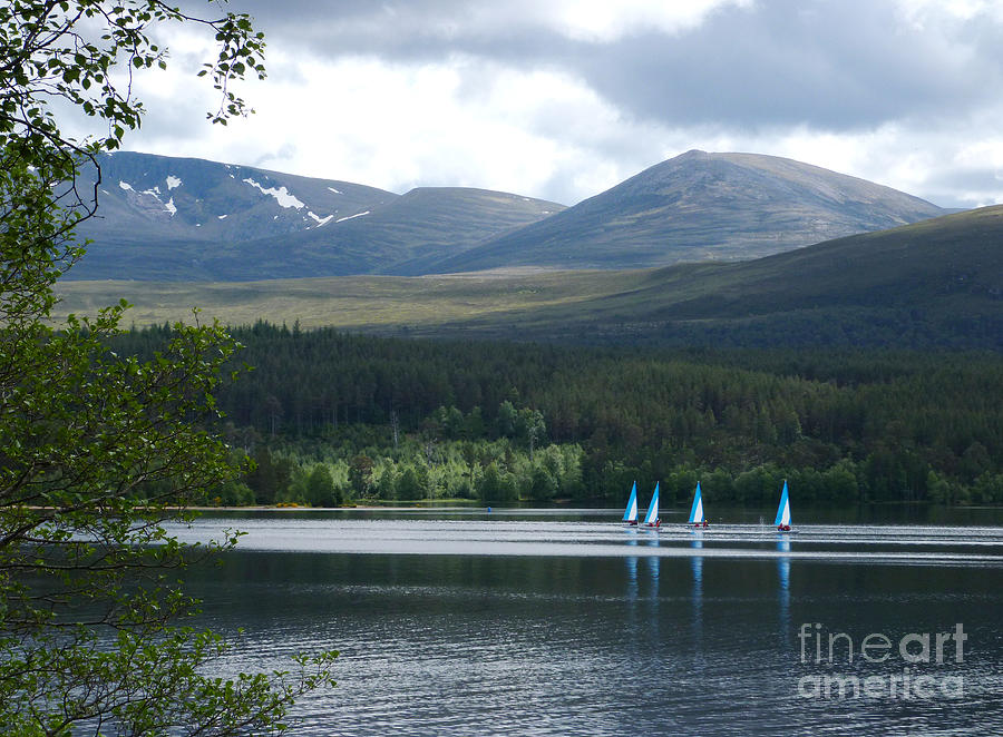 Sailing on Loch Morlich - Cairngorm Mountains Photograph by Phil Banks
