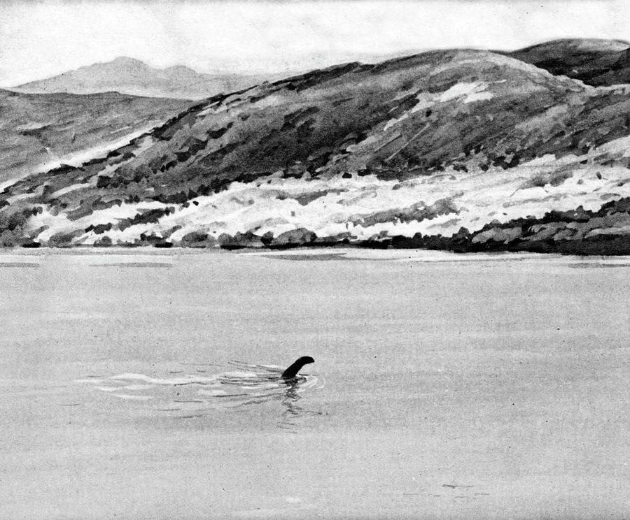 Loch Ness Monster Photograph by Cci Archives