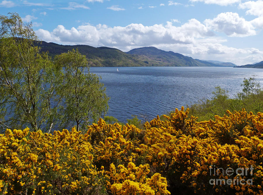 Loch Ness - Springtime Photograph by Phil Banks