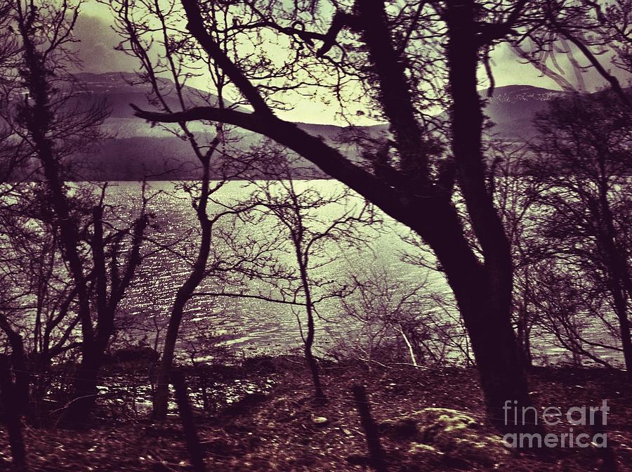 Lochside At Loch Lomond Photograph by Joan-Violet Stretch