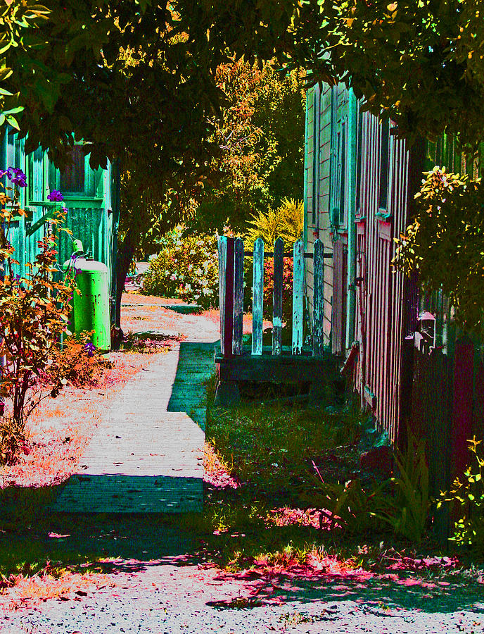 A Locke CA alley way Photograph by Joseph Coulombe