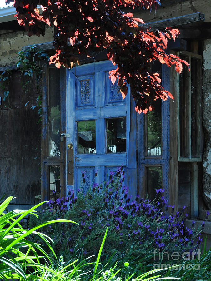 Locked Blue Door  Photograph by Debby Pueschel