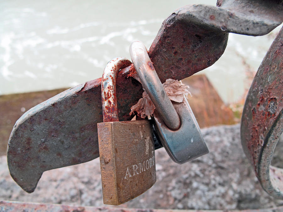 Locks Without a Key Photograph by Barbara McDevitt