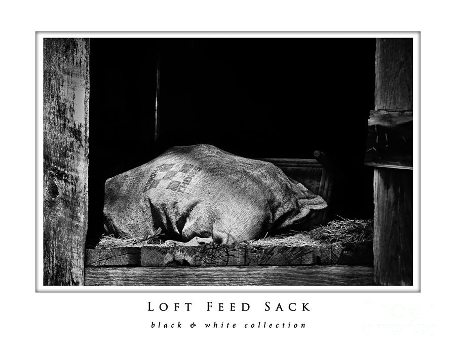 Loft Feed Sack  black and white collection Photograph by Greg Jackson