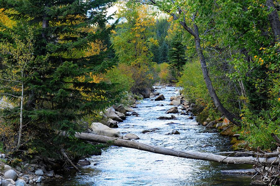 Log Across a Stream in Autumn Photograph by Marilyn Burton