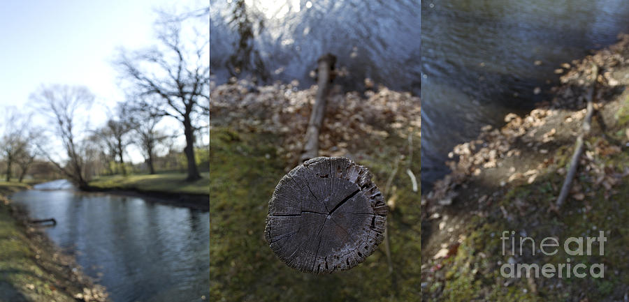Tree Photograph - Log and River Triptych by Danielle Lebenson