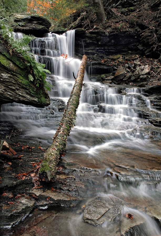 Fall Photograph - Log And Waterfall by Dave Mills